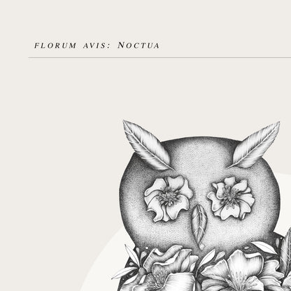 Floral Owl  - Art Print